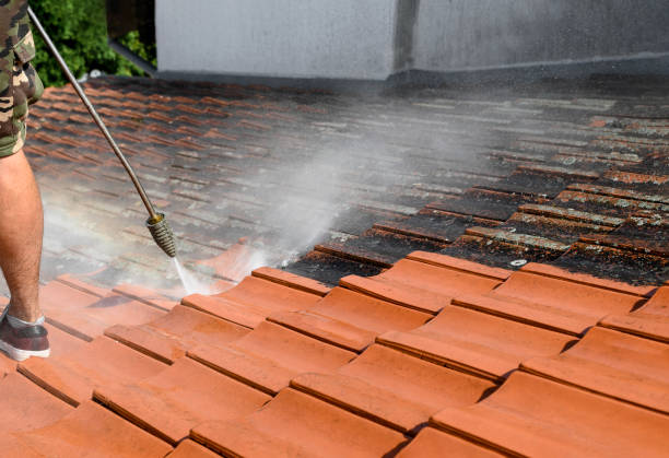 Best Deck Cleaning Services  in Cameron, TX