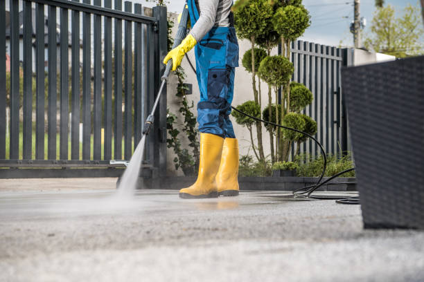 Best Residential Pressure Washing Services  in Cameron, TX