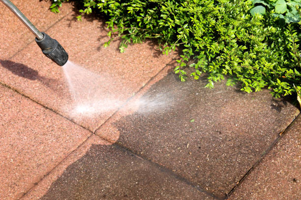 Best Roof Pressure Washing  in Cameron, TX